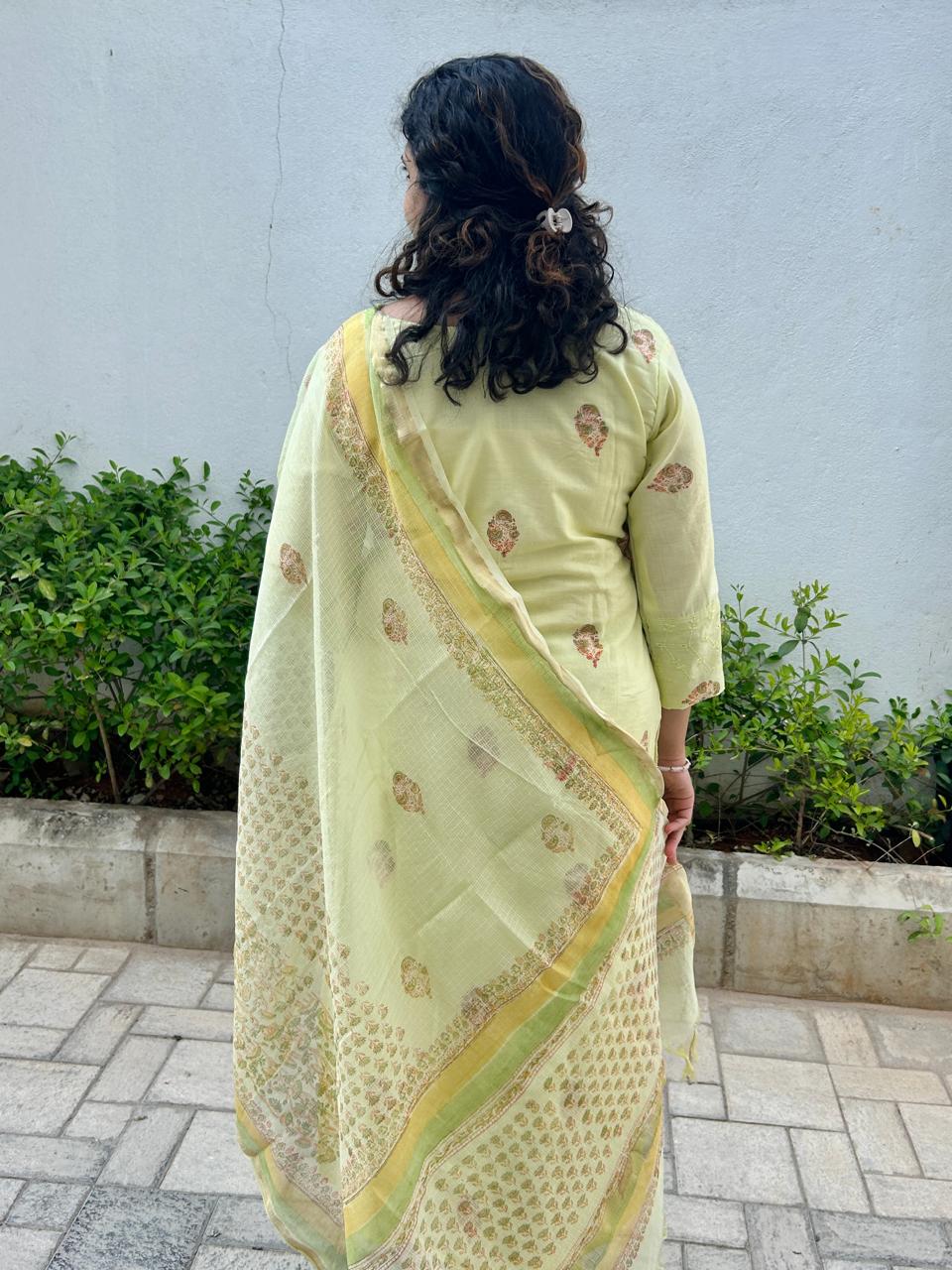 Block printed Hakoba kurta set