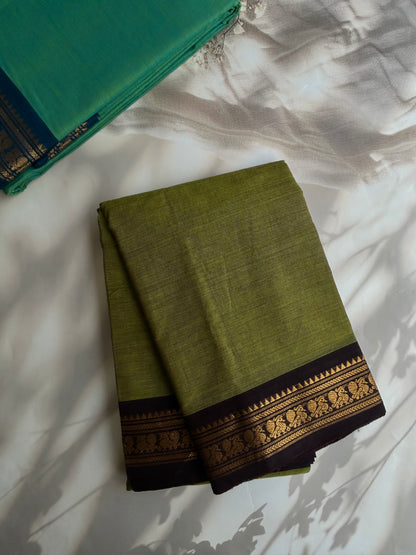 Kanchi cotton saree with contrast border