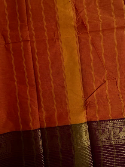 Kanchi cotton saree with zari lines border