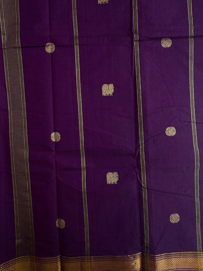 Kanchi cotton saree with annam zari weaves & zari pallu