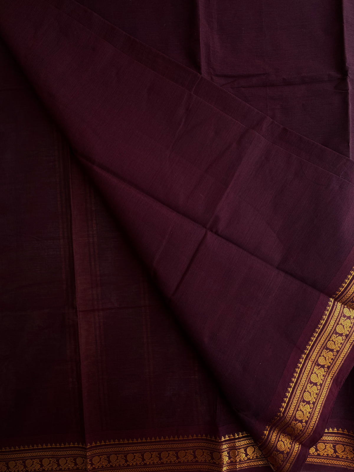 Kanchi cotton saree in zari weaves brown