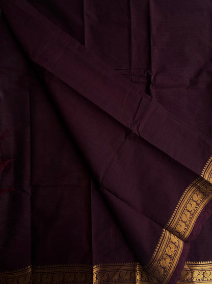 Kanchi cotton saree in zari border brown