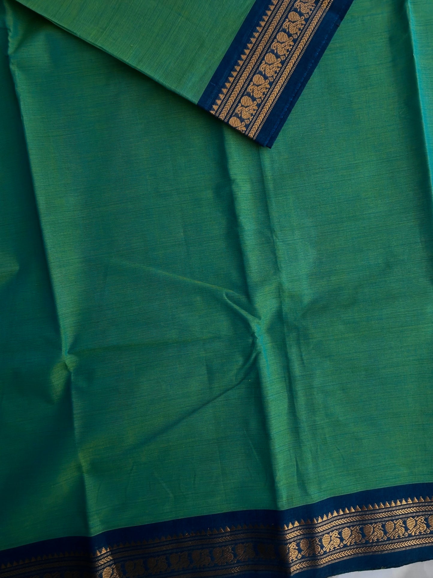 Kanchi cotton saree with contrast border