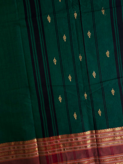 Kanchi cotton saree in butta weaves