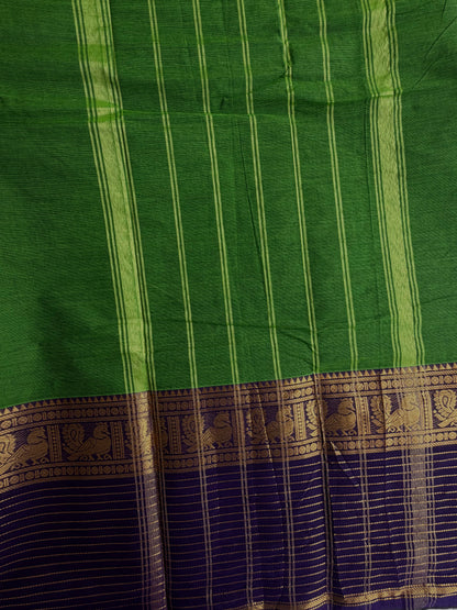 Kanchi cotton saree with zari lines border