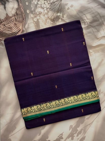 Vegan silk handloom saree