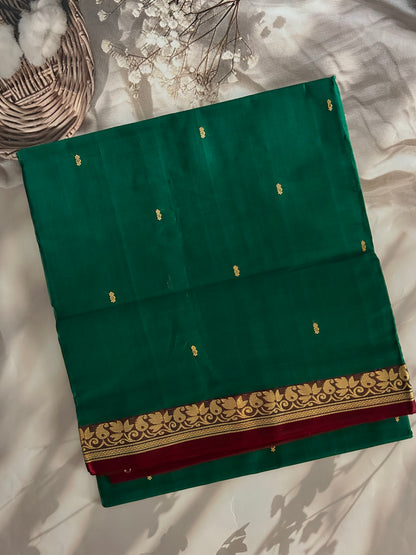 Vegan silk handloom saree