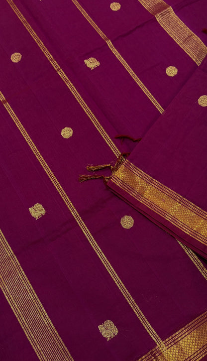 Kanchi cotton with annam zari pallu