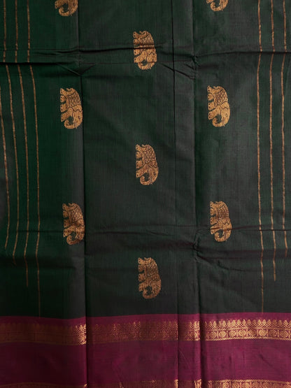 Kanchi cotton saree with zari butta weaves
