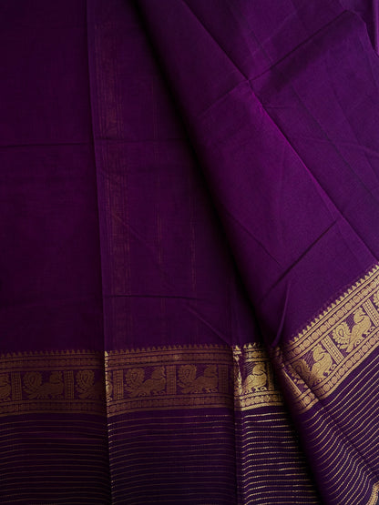 Kanchi cotton saree with zari lines border purple