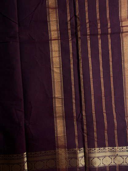 Kanchi cotton saree in zari weaves brown