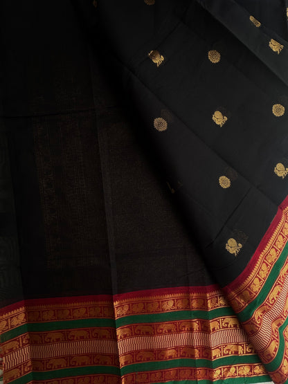 Kanchi cotton saree in butta weaves & grand pallu