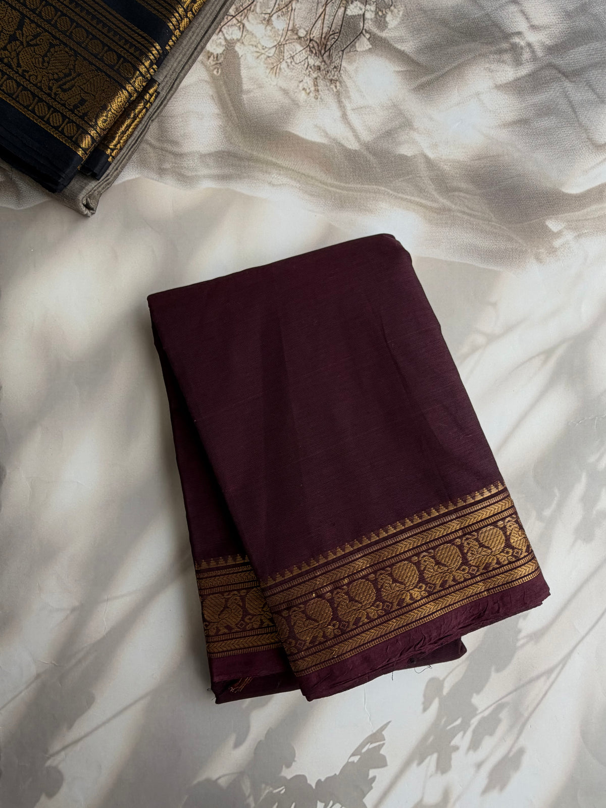 Kanchi cotton saree in zari border brown