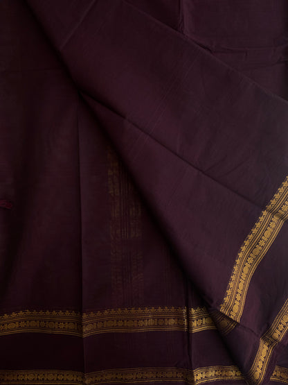 Kanchi cotton saree with zari border