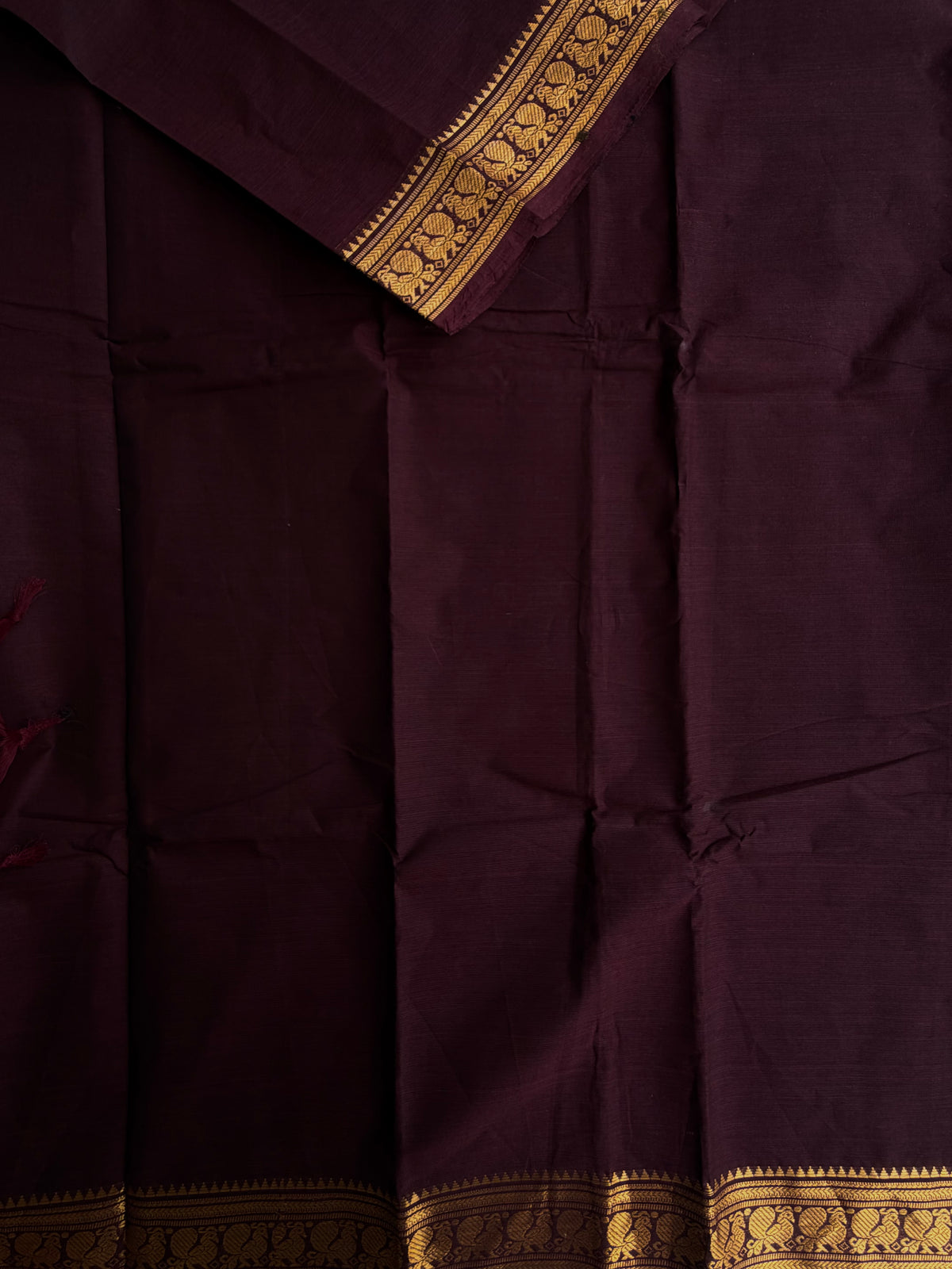 Kanchi cotton saree in zari border brown