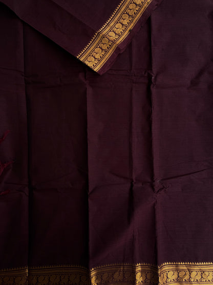 Kanchi cotton saree in zari border brown