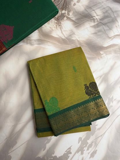 Kanchi cotton saree with butta weaves