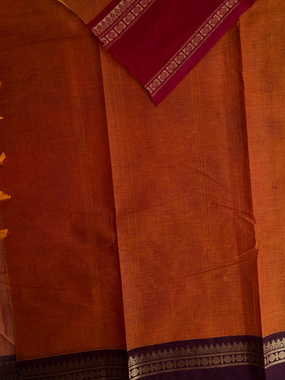 Kanchi cotton saree with Ganga jamuna border