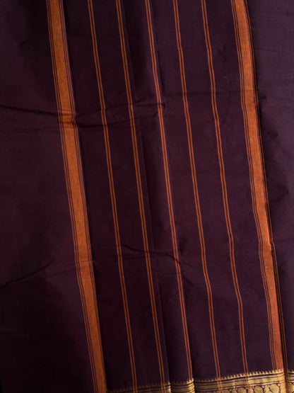 Kanchi cotton saree in zari border brown