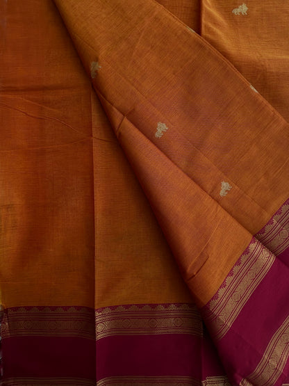 Premium Kanchi cotton with zari weaves and grand pallu