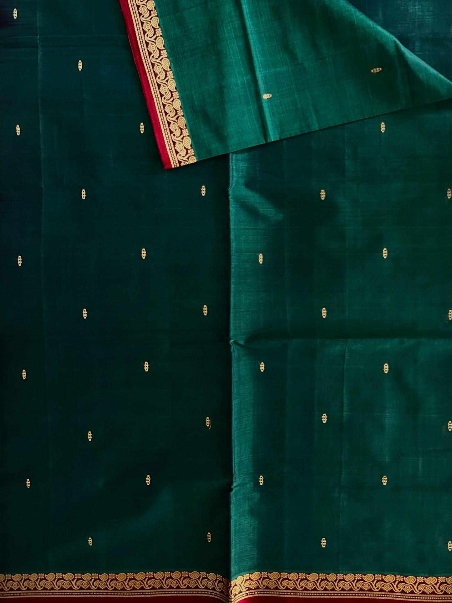 Vegan silk handloom saree