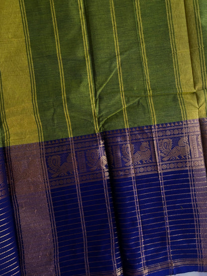 Kanchi cotton saree with zari lines border