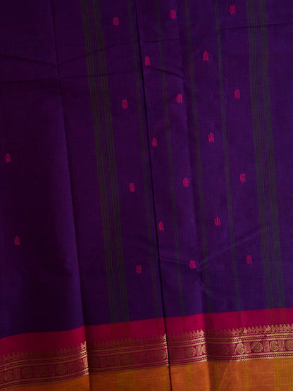 Kanchi cotton with premium zari weaves