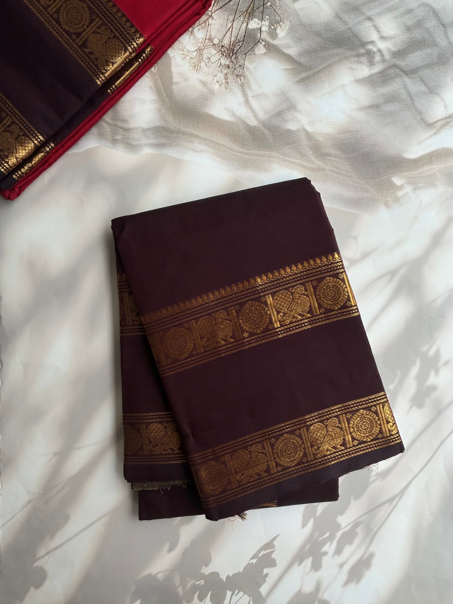 Kanchi cotton saree in zari weaves brown