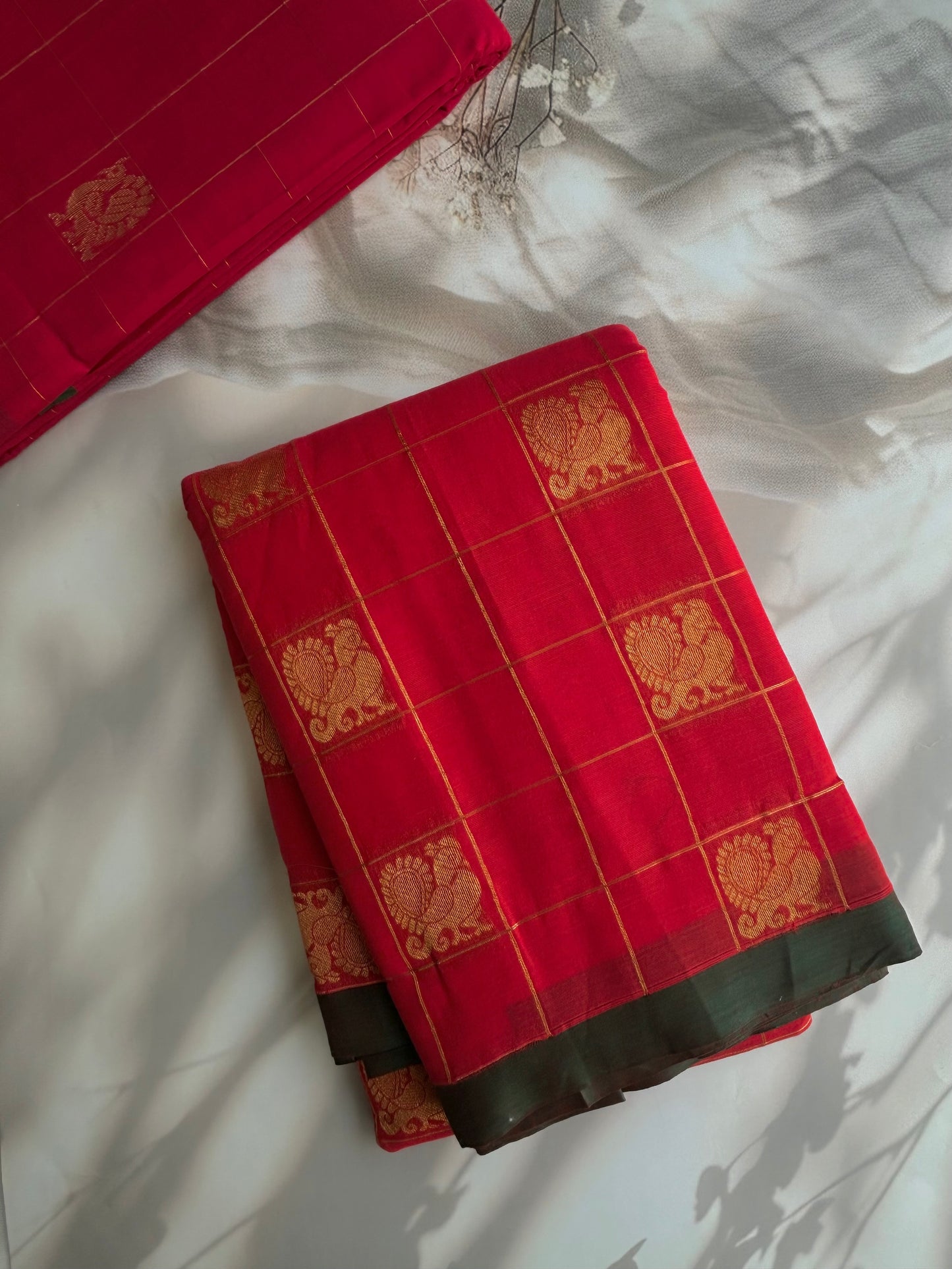 Kanchi cotton saree with premium zari weaves