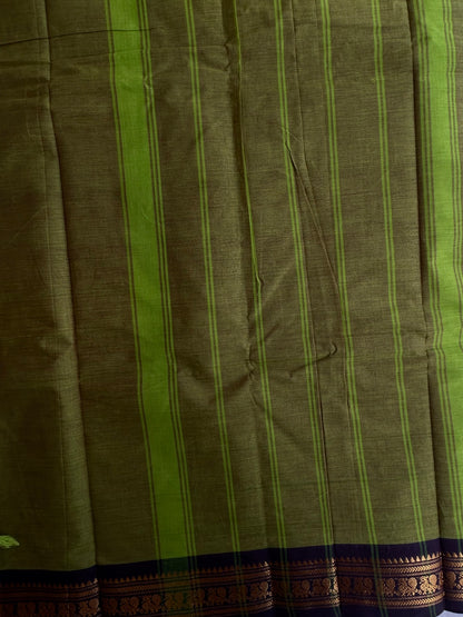 Kanchi cotton saree with contrast border